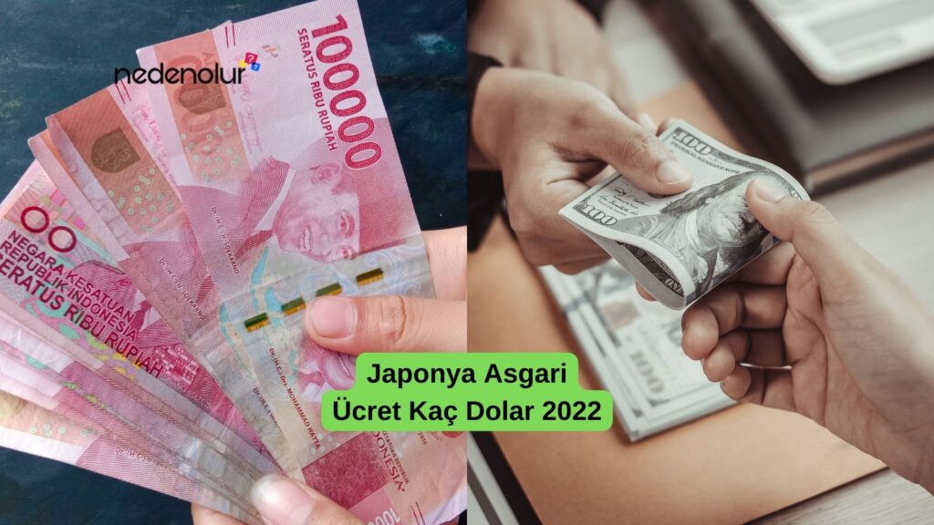 Japonya Asgari Ücret Kaç Dolar 2022